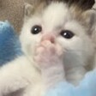 gag emote