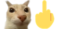 deo emote