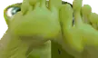 taaFeet