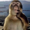 thinking emote
