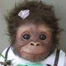 coco emote