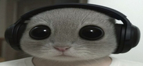 ohLOL emote