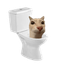 dosetoilet