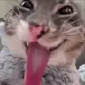 MUHEHEHE emote