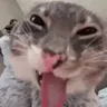 )) emote