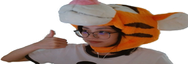 widejasOK