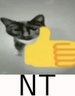 nt emote