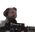 forsenDJ
