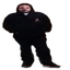 MoDDyChat
