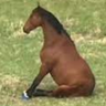 frank emote