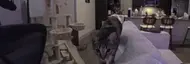 bunnysniff