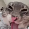 JEJEJI emote