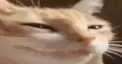 uuhware