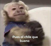 alchilequebueno emote