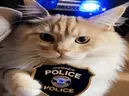 police emote