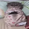 dih emote