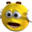 shock