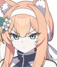 Madgecat emote