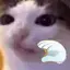yappin