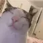 Sleepy