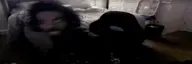 wideJakeBounce