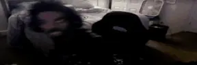 wideJakeBounce emote