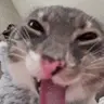 deaaa emote