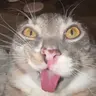 MaybeFreak emote