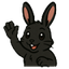 hai