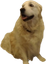 burneLola