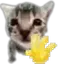 helo