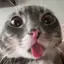 MaybeGlorp