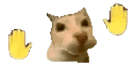 lerolero