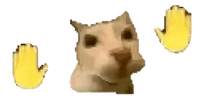 lerolero emote
