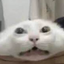 beh