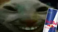 xddbull