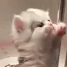 HelpMe emote