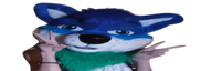 widefurry