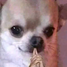hmm emote