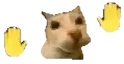 doseCatHandShake