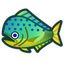 MahiMahi