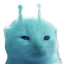 blorp