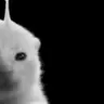 GIGAGLORP emote