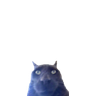 lilbro emote