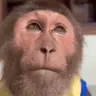 Disappointed emote