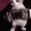 catAccordion