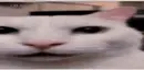 Rubychan