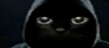 OKAK emote