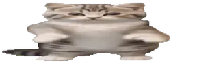 dans emote