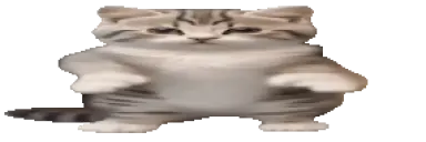 seventv_01JV4NC8MWV1HMKT3S71J396QZ